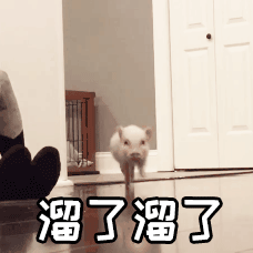 春雷响!您的五脏六腑将被雷声“强制开机”(图11) 11.gif