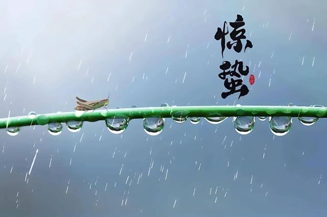 【关注】惊蜇后,醋、葱、姜都要少吃……(图5) 5.jpg