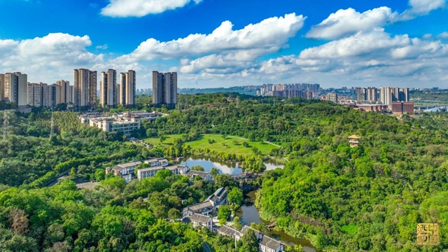 发展壮大川南、川东北城市群！涉及宜宾-泸州等省域经济副中心，四川最新发文