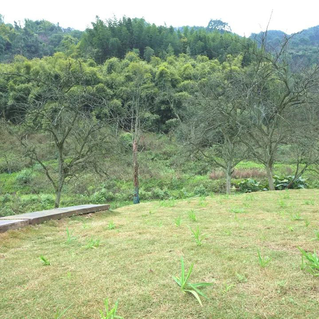 龙马潭区法院:三月暖阳抚花枝,巾帼风姿正当时(图3) 3.jpg