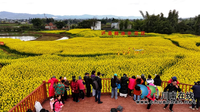 聚焦泸县 共赴繁花｜成都市锦江区摄影协会与泸县摄影家协会缔结友好协会并携手开展采风活动