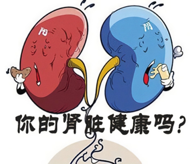 2025年世界肾脏日|您的肾脏还好吗?早检查,保健康!(图2) 2.jpg