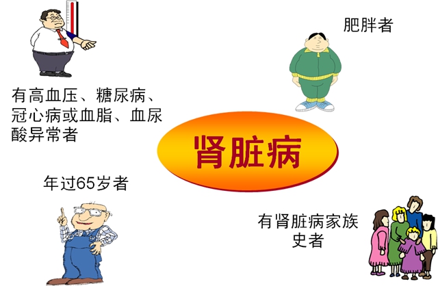 2025年世界肾脏日|您的肾脏还好吗?早检查,保健康!(图4) 4.jpg