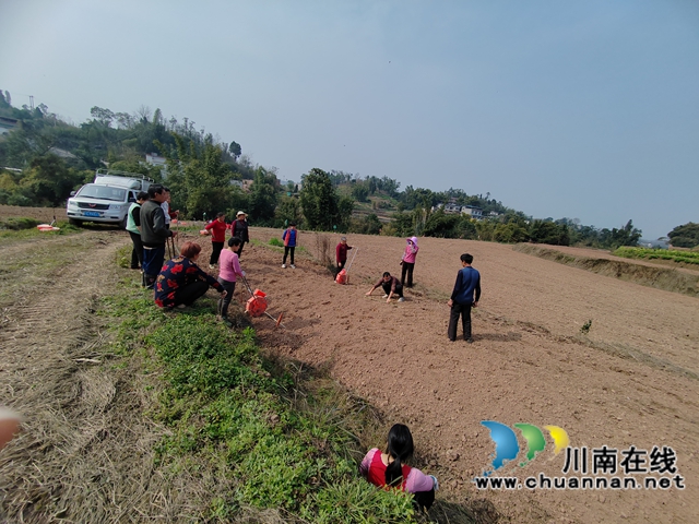 3月10日，泸县彰德劳务专合社劳务经纪人罗燕邀请泸州市金粮源智慧农业科技有限公司技术人员为零散劳动力开展高粱播种培训。.jpg