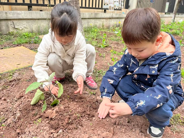 “植”此青绿,共“树”未来!|泸州市各校园开展植树节活动(图4) 3.jpg