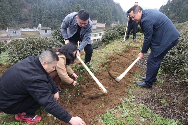 “植”此青绿,共“树”未来!|泸州市各校园开展植树节活动(图2) 1.jpg