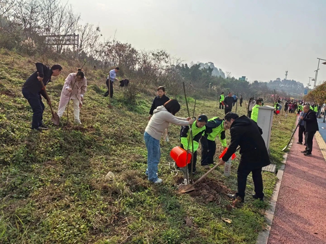“植”此青绿,共“树”未来!|泸州市各校园开展植树节活动(图8) 7.jpg