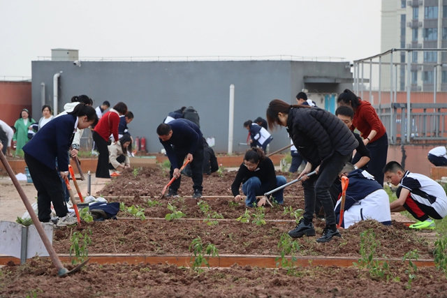 “植”此青绿,共“树”未来!|泸州市各校园开展植树节活动(图14) 13.jpg