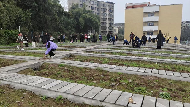 “植”此青绿,共“树”未来!|泸州市各校园开展植树节活动(图15) 14.jpg