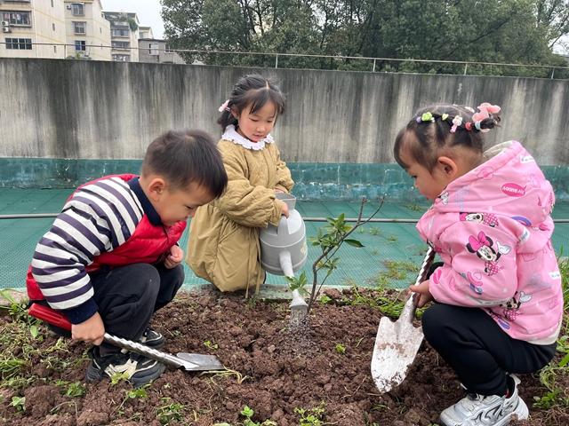 “植”此青绿,共“树”未来!|泸州市各校园开展植树节活动(图17) 16.jpg