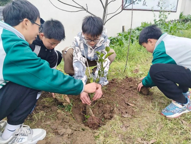 “植”此青绿,共“树”未来!|泸州市各校园开展植树节活动(图21) 20.jpg