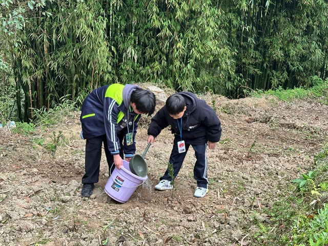 “植”此青绿,共“树”未来!|泸州市各校园开展植树节活动(图27) 26.jpg
