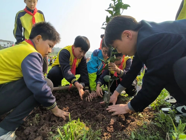 “植”此青绿,共“树”未来!|泸州市各校园开展植树节活动(图28) 27.jpg