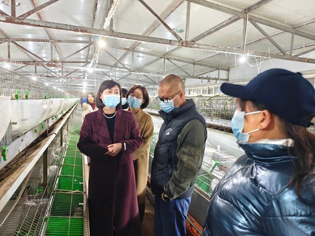 泸县政协主席吴雪松调研天兴镇乡村振兴特色产业发展