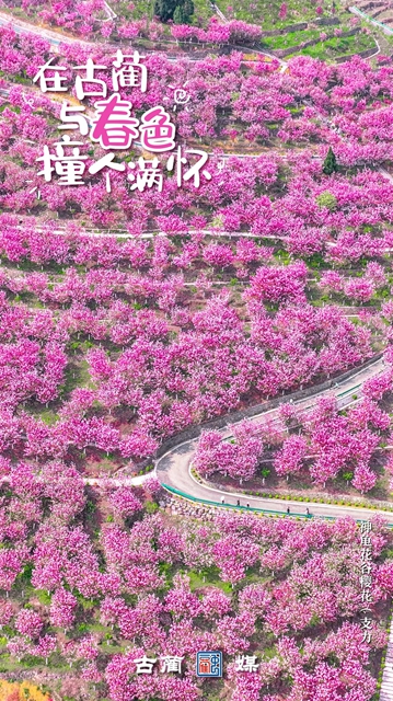 在古蔺,与春光不期而遇……(图2) 2.jpg