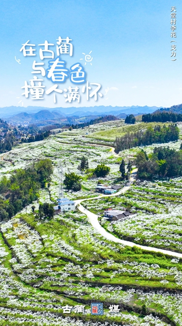 在古蔺,与春光不期而遇……(图5) 5.jpg