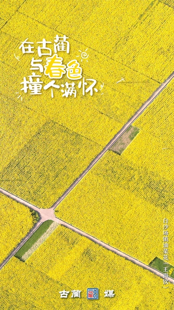 在古蔺,与春光不期而遇……(图4) 4.jpg