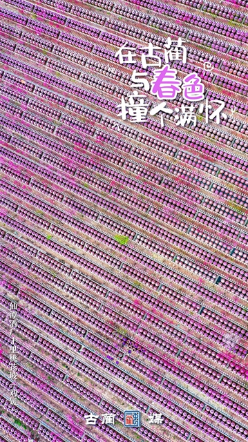 在古蔺,与春光不期而遇……(图7) 7.jpg