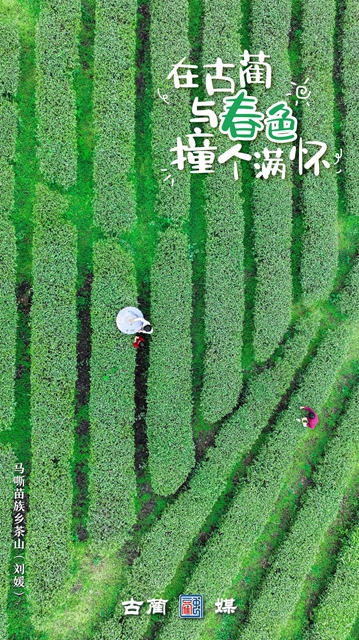 在古蔺,与春光不期而遇……(图8) 8.jpg