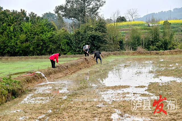 泸县开闸!放水!(图2) 2.jpg