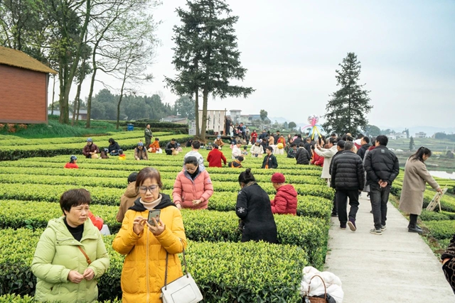 八方宾客奔赴叙永红岩村,沉浸式体验茶旅文化(图16) 16.jpg