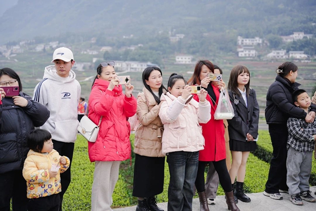 八方宾客奔赴叙永红岩村,沉浸式体验茶旅文化(图21) 21.jpg