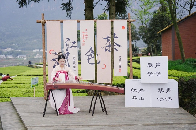 八方宾客奔赴叙永红岩村,沉浸式体验茶旅文化(图19) 19.jpg