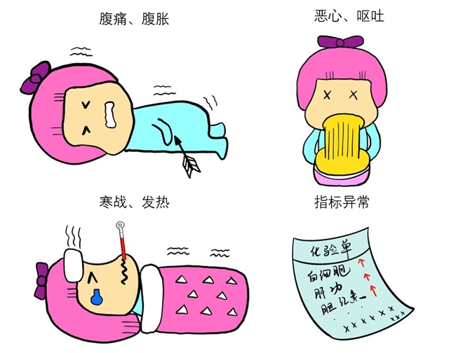 胆4.jpg