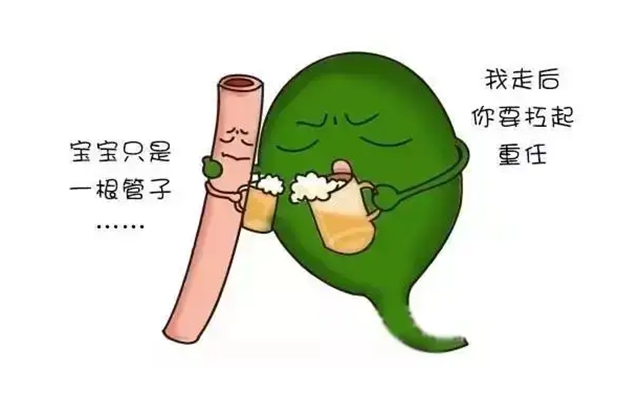 胆5.jpg