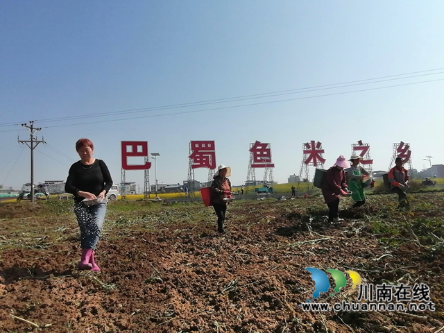 泸县：“蜀我·会找活”，化解春耕烦心事