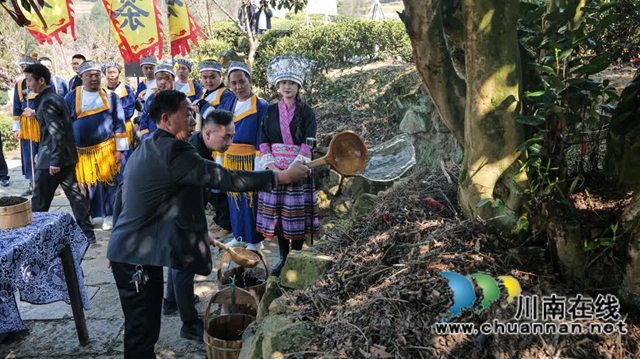 古蔺马嘶开山祭茶 :感恩自然,祈愿丰收(图3) 3.jpg