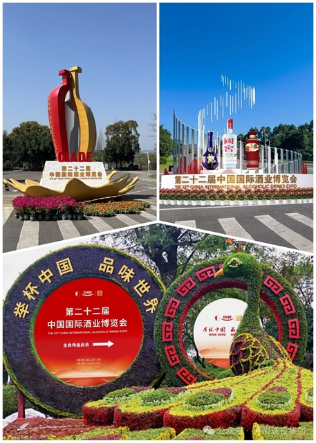 绘就酒城新韵 共襄酒博盛举｜泸州两江控股集团匠心护航酒博会