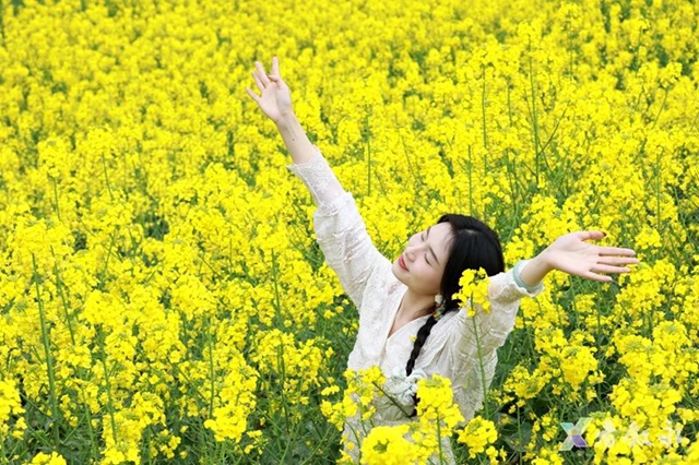 叙永:从种粮食到种“风景” “花式”催开美丽经济(图2) 2.jpg