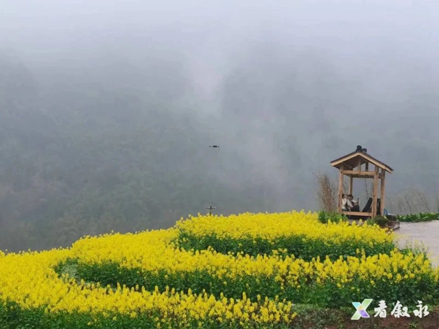 叙永:从种粮食到种“风景” “花式”催开美丽经济(图8) 8.jpg