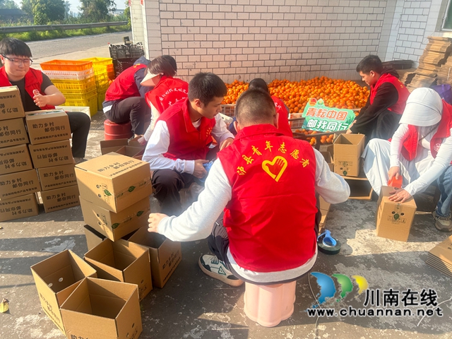 泸县青年玩转直播,助本地农特产品火出“新高度”(图3) mmexport1743061616682.jpg