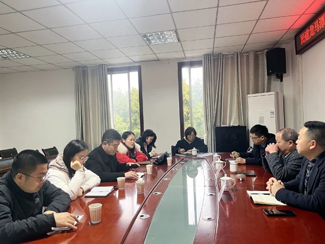 强队伍 重指导 勤履职|民建龙马潭区基层委强化社情民意信息工作(图2) 民2.jpg