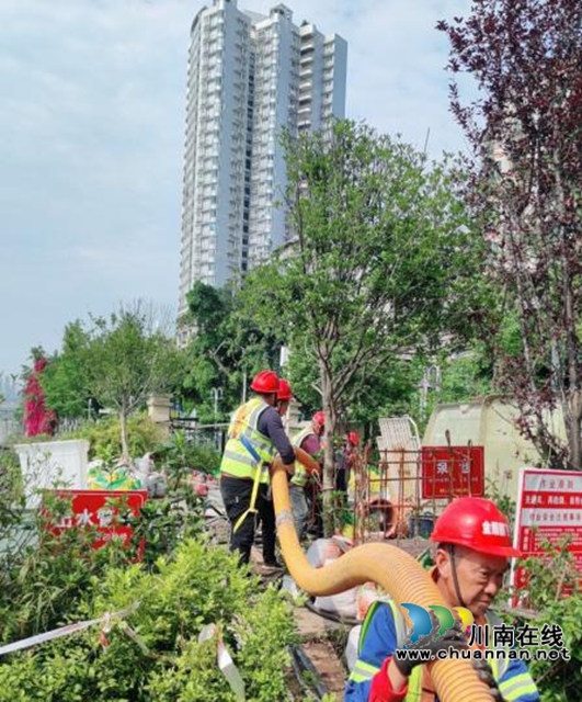 龙马潭区综合行政执法局：精心守护，铸就城市美好