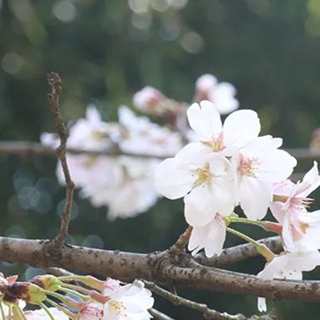 清明后,这些食物要少吃!(图2) 少2.jpg