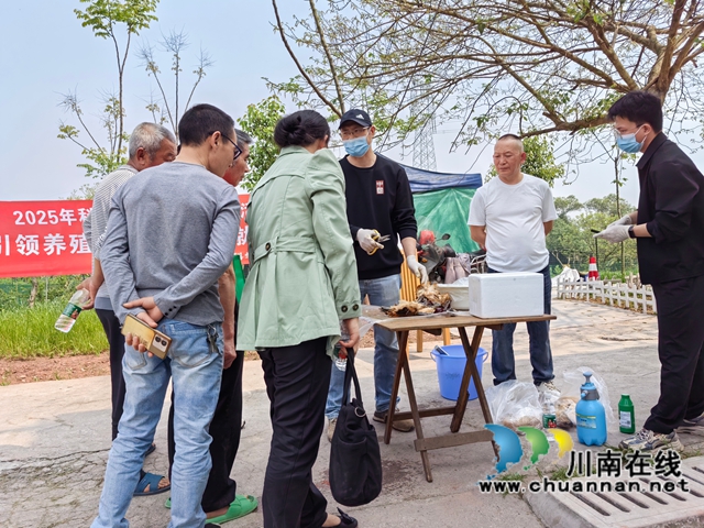 龙马潭区鱼塘街道：科普宣传进村庄 助农养殖新征程