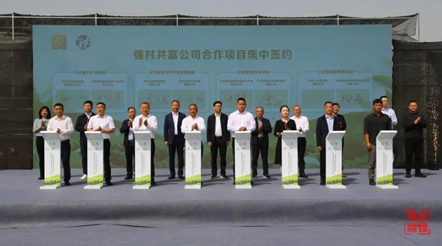 从“资源沉睡”到“抱团共赢”纳溪区乡村振兴再添新举措