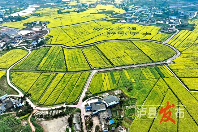 全国第13名!泸县这个产业园实力出圈(图3) 3.jpg