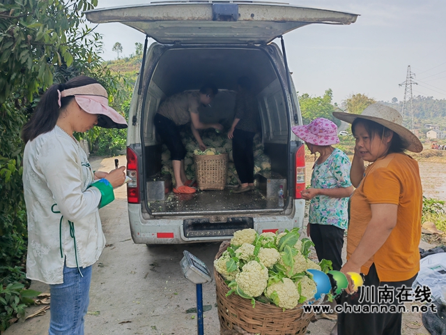 收购蔬菜（曾佐然摄）.jpg