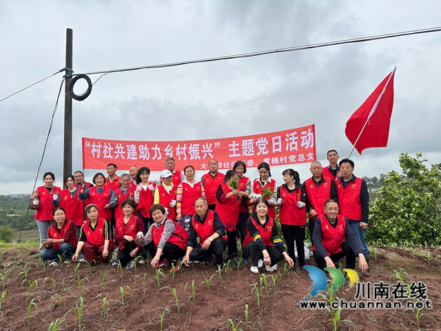 龙马潭：村社共建，助力乡村振兴