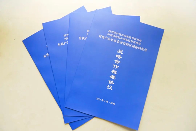 南阳3.jpg