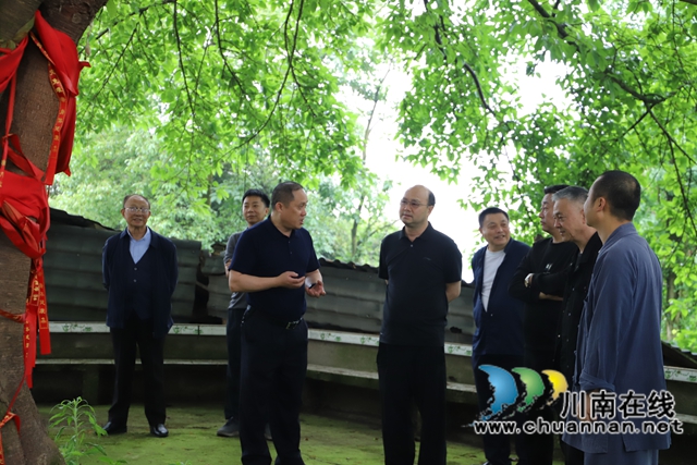 参观古树（曾佐然摄）.jpg