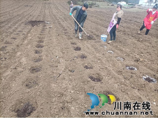 蜂蜜浏览器_3.jpg