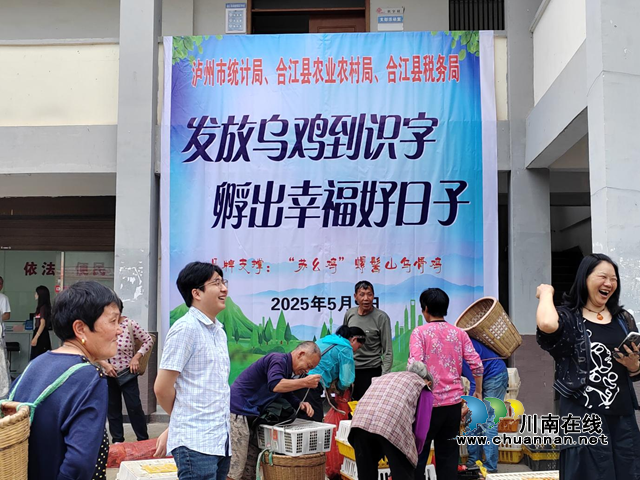 泸州市统计局：送鸡苗技术拓销路，兴乌鸡产业促振兴