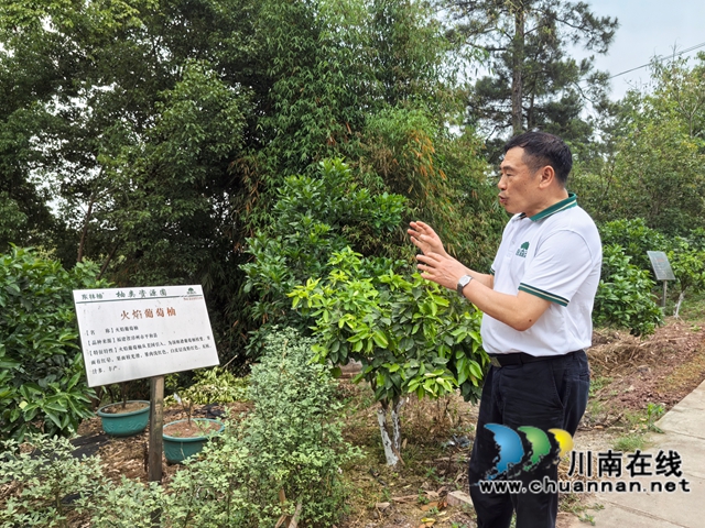 泸县：返乡企业“柚”伸产业链，带动乡邻增收致富