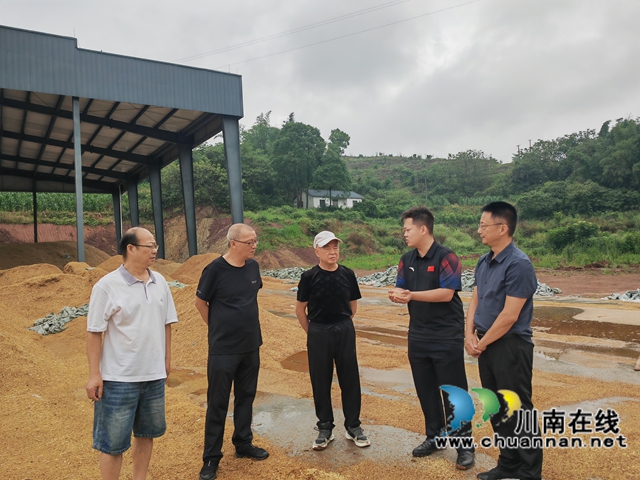 研究生担岗 赤松茸基地落户泸县玄滩镇