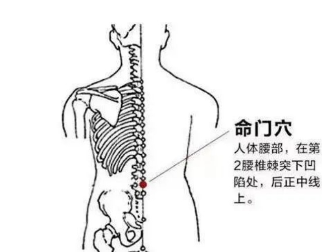 4_副本.jpg